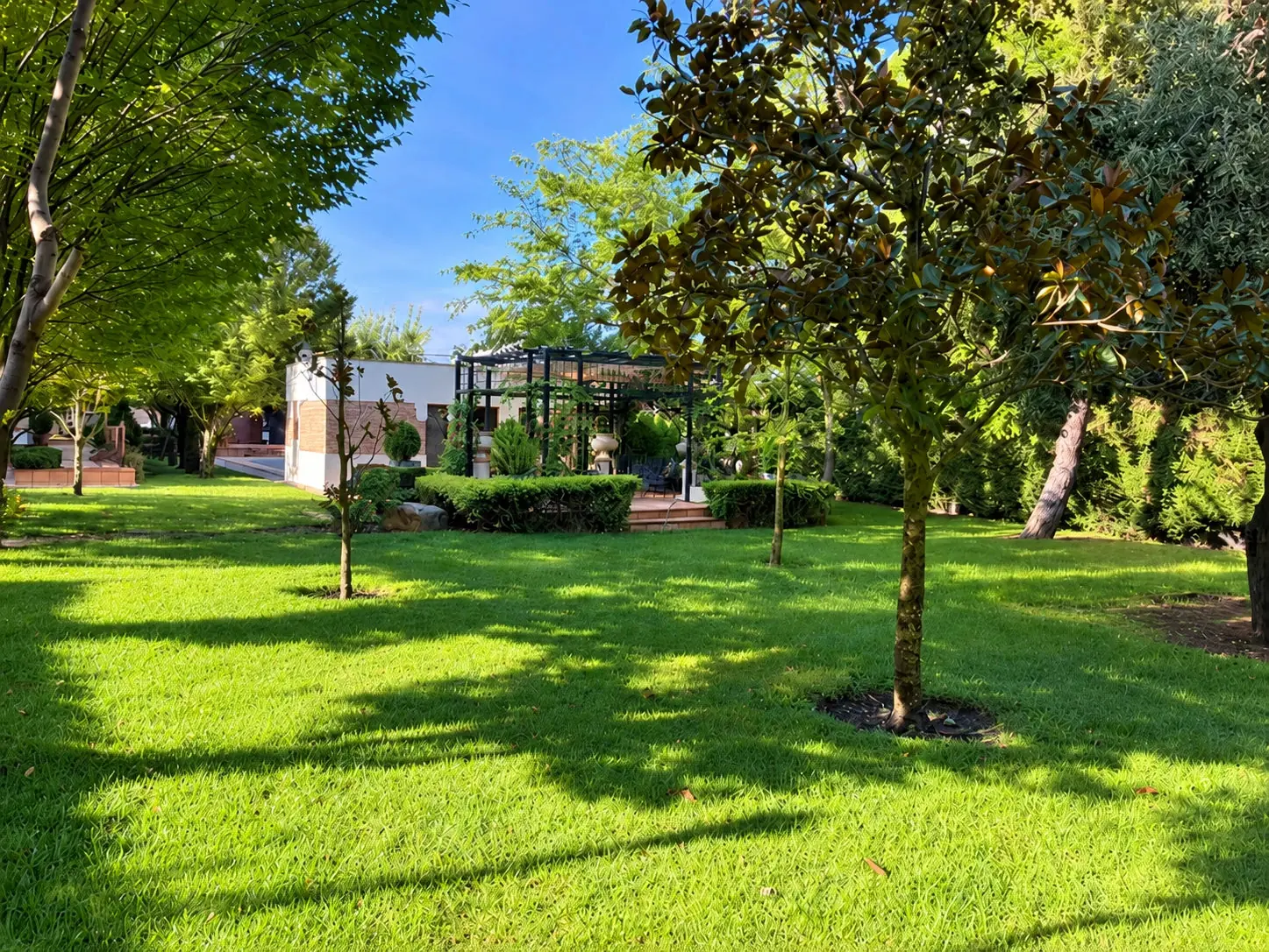 Césped y árboles junto a la pérgola del jardín de Quinta de Serena