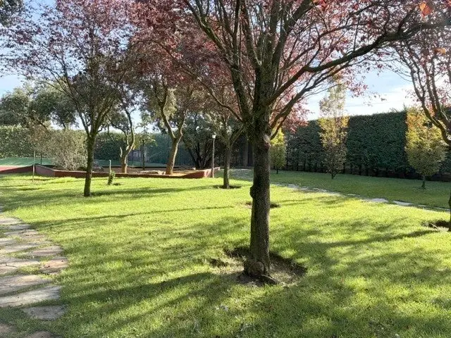 Árboles de hoja roja sobre el césped en Quinta de Serena