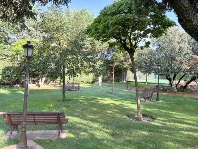 Bancos y farolas en la pradera de Quinta de Serena
