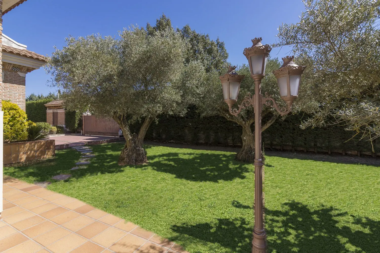 Olivos y farolas en el jardín de Quinta de Serena
