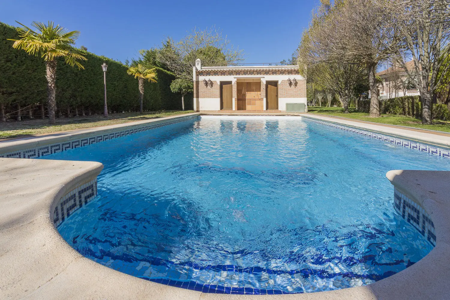 Piscina con palmeras en Quinta de Serena