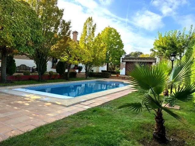 Piscina con palmera y jardín en Quinta de Serena