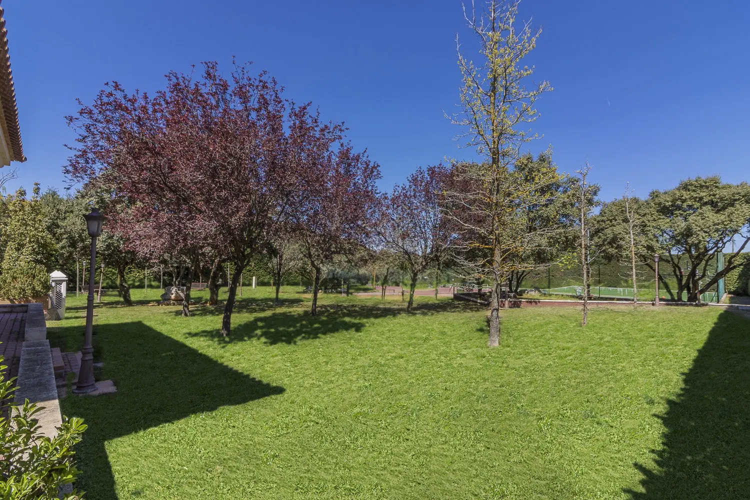 Pradera con árboles de hoja roja en Quinta de Serena, finca para bodas en Madrid